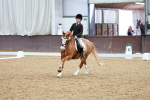 SBM_002177