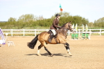 SBM_000271