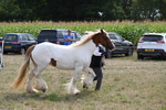 WJ6_6583