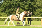 SBM_67445