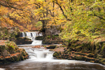 Golden Leaves over Sgwd y Bedol
