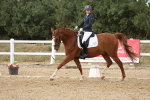 SBM_011989