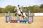 SBM_002222