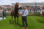 250823-Race 1-Marhaba The Champ-0201