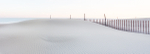 Pastel Fences--Pano