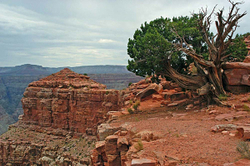 Grand Canyon - west rim portfolio