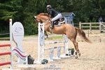 Cls 200 4 Yr Old Qualifier portfolio