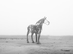 The Lifeboat Horse - Wells Quay