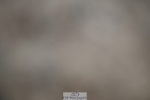240611A-163624-00250