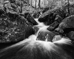 Wyming Brook (4)