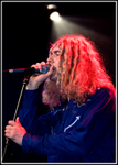 Led Zep Too 6