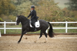SBM_001491