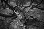 Day 11 - Got Knotted