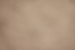20260415-0393