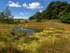 Rocher Bog (02)