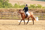 SBM_000467