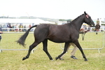 DSC06441