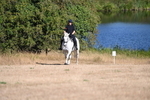 WJ6_6966