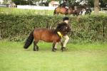 SBM_75361