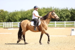 SBM_007819