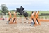 BPP_1339