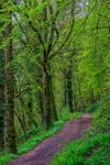 Offa's Dyke Path