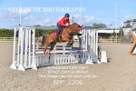 CLASS 2 Club/ Unaffiliated 80cms Open portfolio