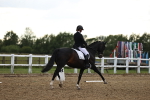 SBM_002833