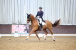 SBM_008938