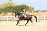 SBM_003600