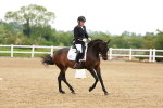 SBM_005381