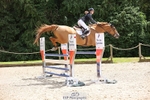 Cls 6 Snr Foxhunter and 1.20m Open portfolio