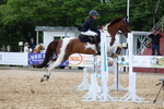 Class 14: Pony Newcomers/1m open portfolio