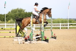 SBM_003662