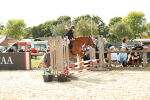 SBM_46648