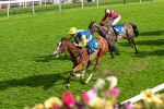 230824-Race 5-Canoodled-9752