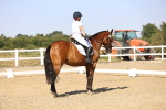 SBM_006841