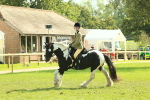 S56 - Coloured Pony Ridden portfolio