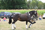 WJ6_6249