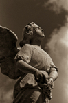 LOOKING TO HEAVEN