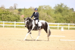 SBM_007954