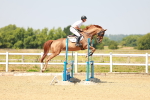SBM_000695