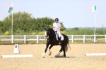 SBM_009049