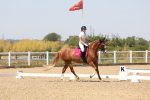 SBM_005026