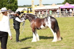 SBM_08598