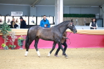 SBM_02303