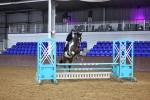 SBM_002637