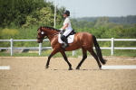 SBM_009598
