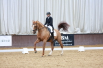 SBM_004029