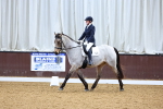 SBM_001924